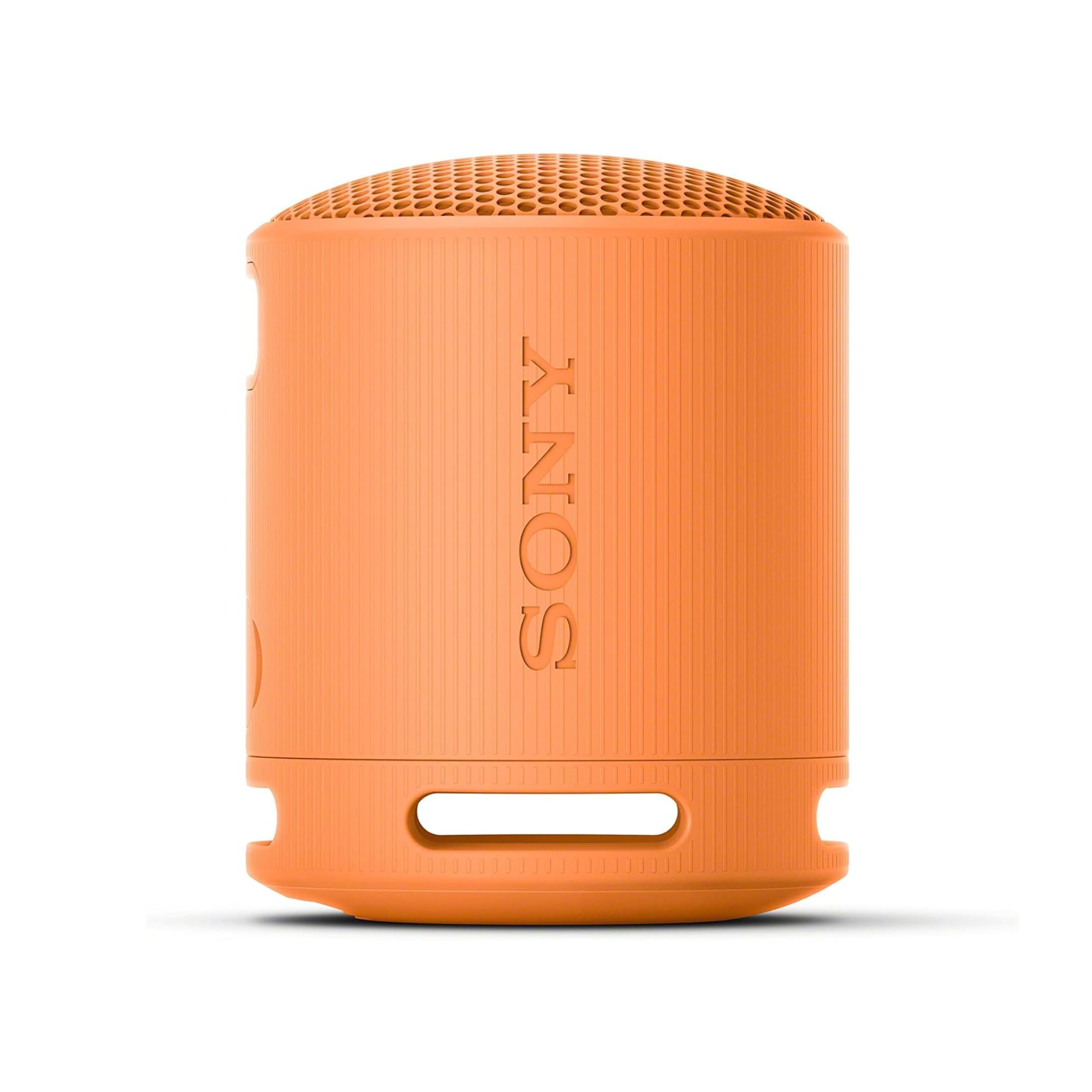Sony SRS-XB100